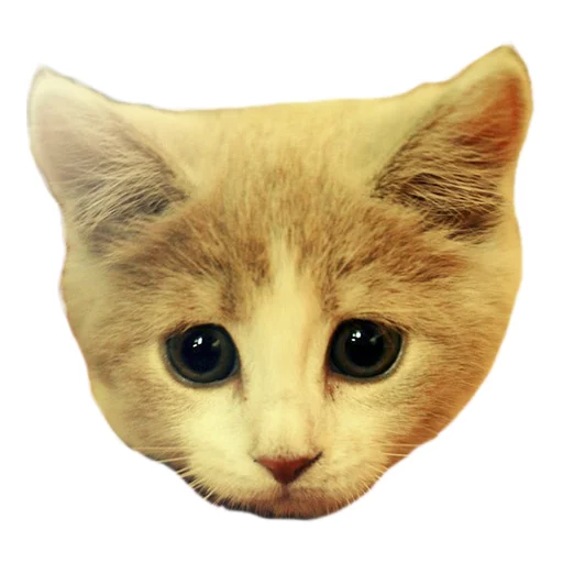 Эмодзи Sexy Animals