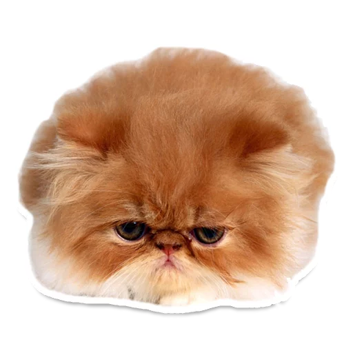 Эмодзи Sexy Animals