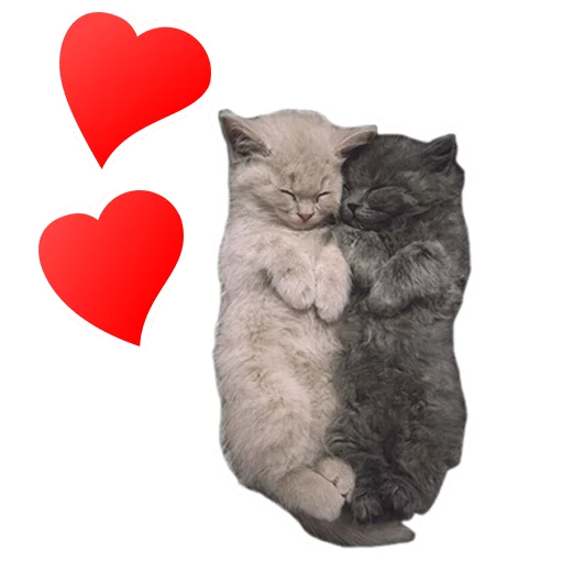 Эмодзи Sexy Animals