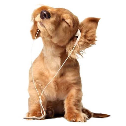 Эмодзи Sexy Animals