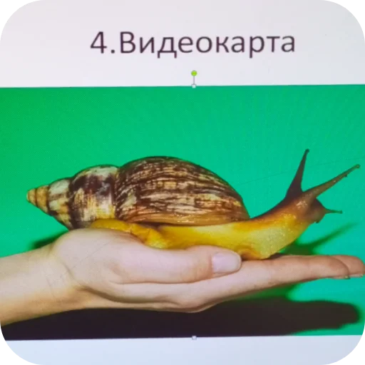 Эмодзи Shadowhou