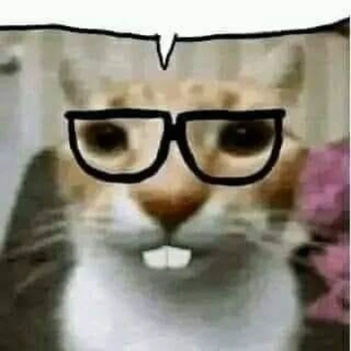 Эмодзи Sheikstikers