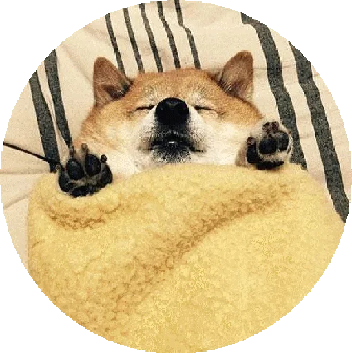 Эмодзи Shiba