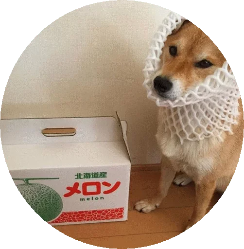 Эмодзи Shiba