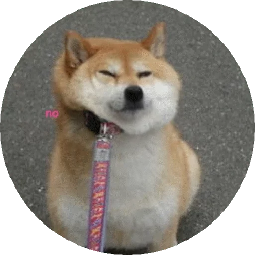 Эмодзи Shiba