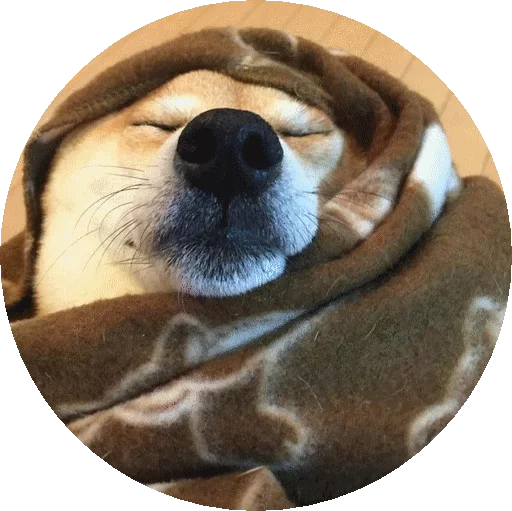 Эмодзи Shiba