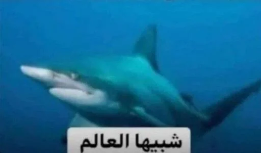 Эмодзи Shitiraqstickers