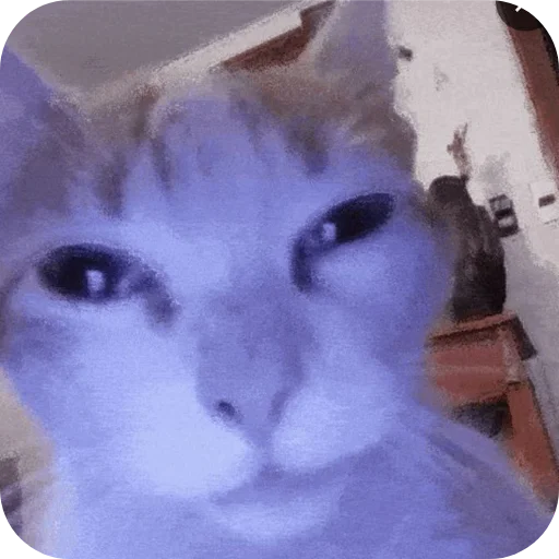 Эмодзи 👾Стикеры Шпека👾