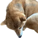 Эмодзи Siba deni