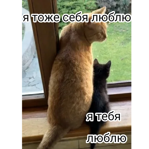 Эмодзи Симба