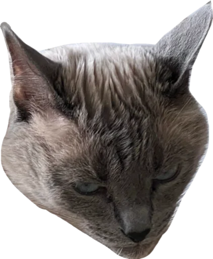 Эмодзи Sidkozel