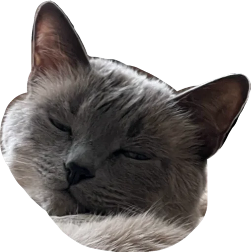 Эмодзи Sidkozel