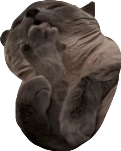 Эмодзи Sidkozel