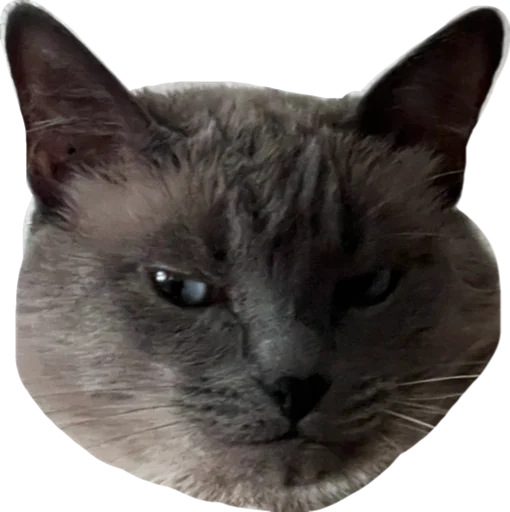 Эмодзи Sidkozel