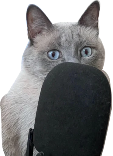 Эмодзи Sidkozel