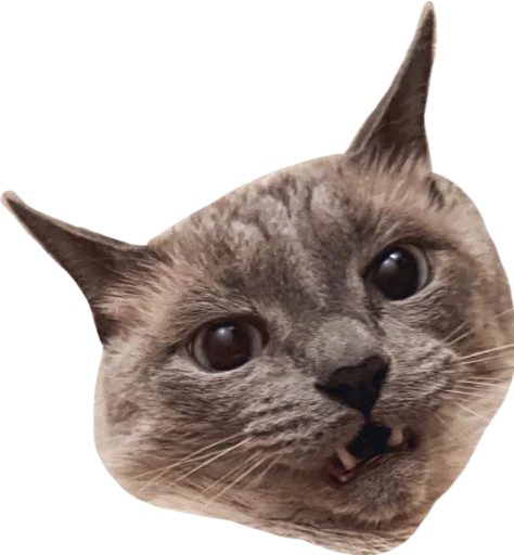 Эмодзи Sidkozel