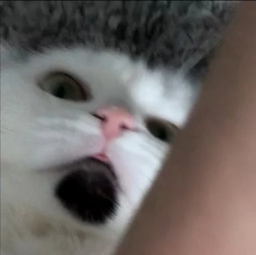 Эмодзи Сима🥰