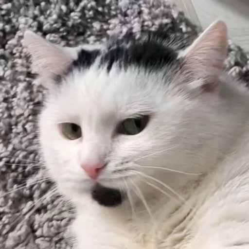 Эмодзи Сима🥰