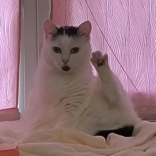 Эмодзи Сима🥰