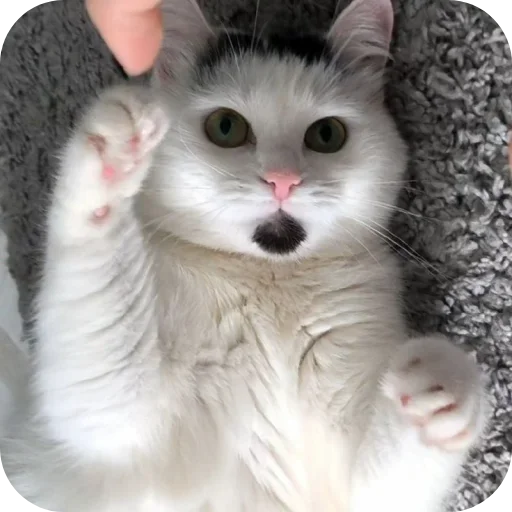 Эмодзи Сима🥰
