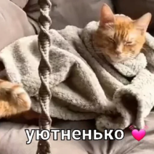 Эмодзи Симбочка Пимпочка