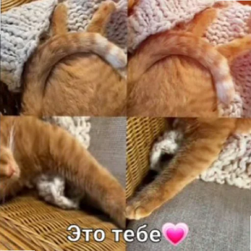Эмодзи Симбочка Пимпочка