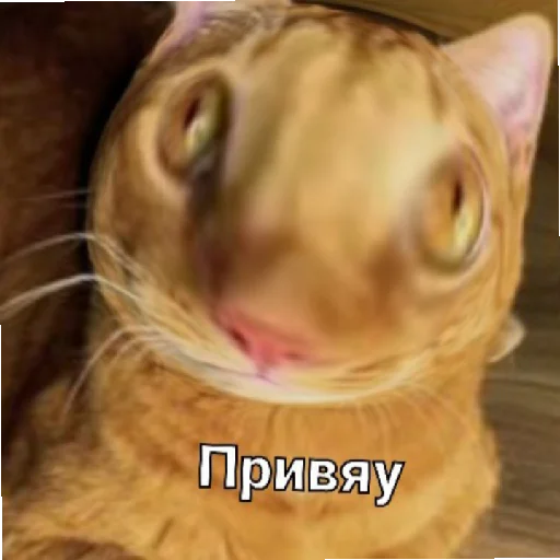 Эмодзи Симбочка Пимпочка