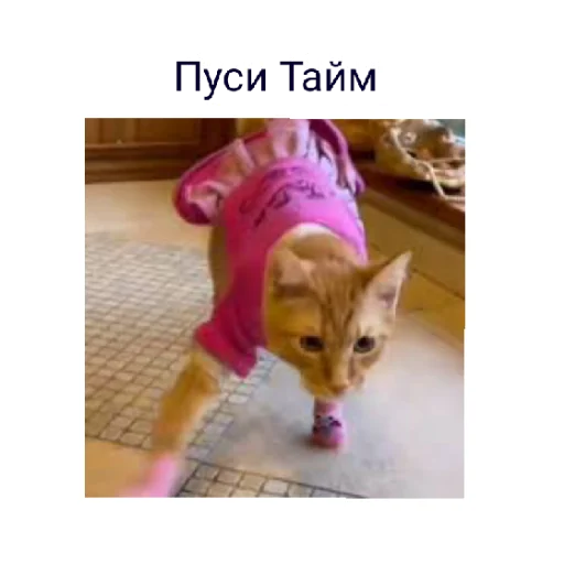 Эмодзи Симбочка Пимпочка Обновление 4