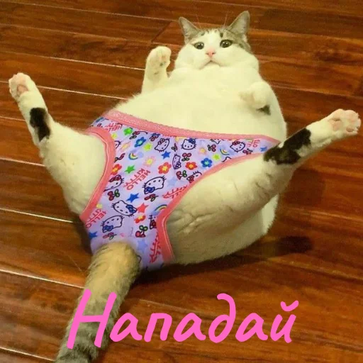😏