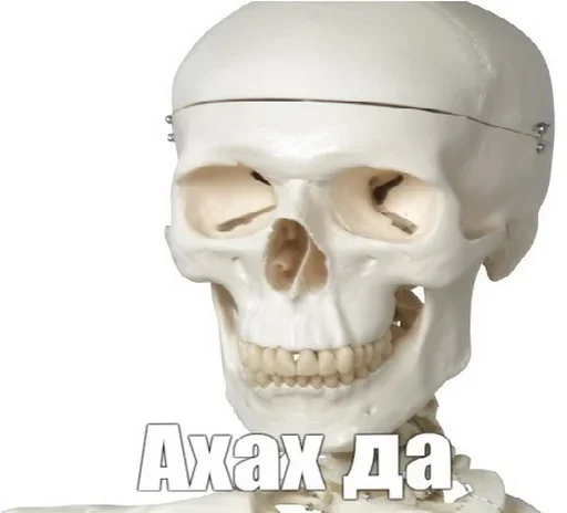 Эмодзи Скелето слэнг