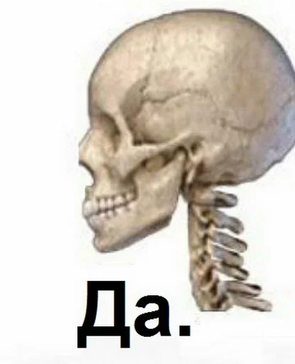 Эмодзи Скелето слэнг