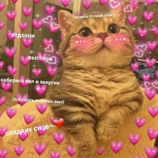 Эмодзи Котики