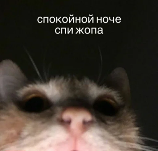 Эмодзи My lovely стайл