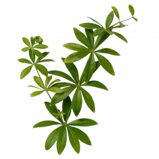 Эмодзи Snufkin