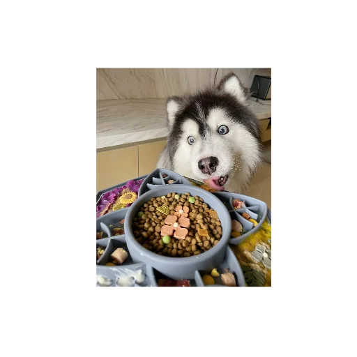 Эмодзи Собаки