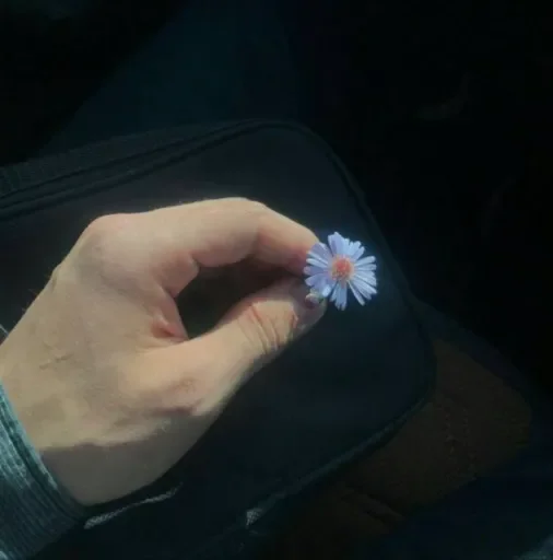 Эмодзи Sobrujamiyll