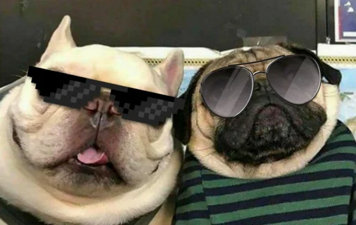 😎