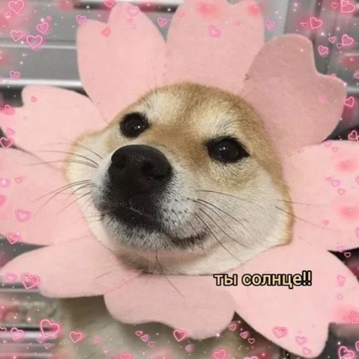 Эмодзи Солнышки