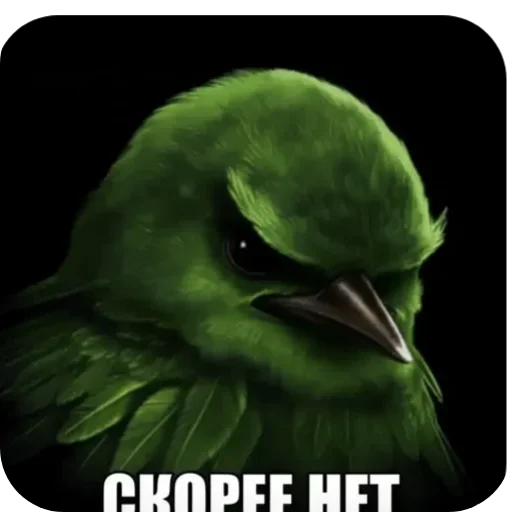 Эмодзи Birds Memes