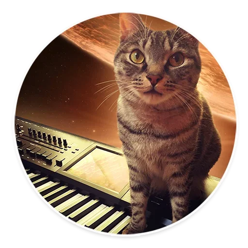 Эмодзи Space Cats