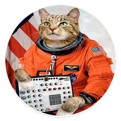 Эмодзи Space Cats