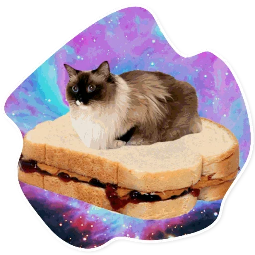 Эмодзи Space Cats