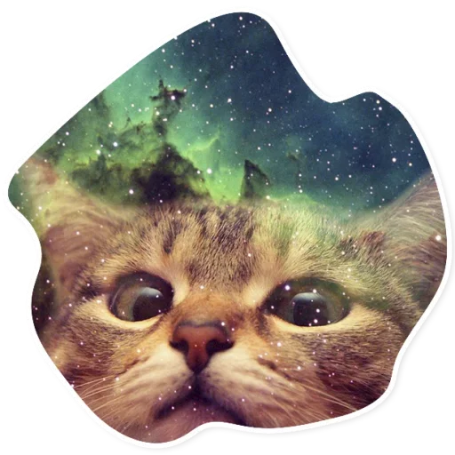 Эмодзи Space Cats