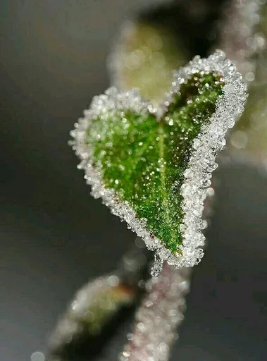 Эмодзи Sparkles