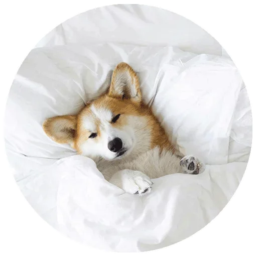 Эмодзи Спят Усталые Кисули