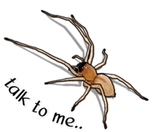 Эмодзи Spiders Time
