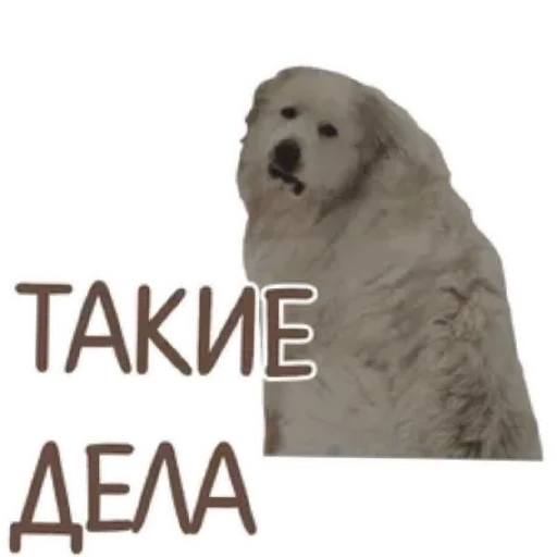 Эмодзи Spread Beaver
