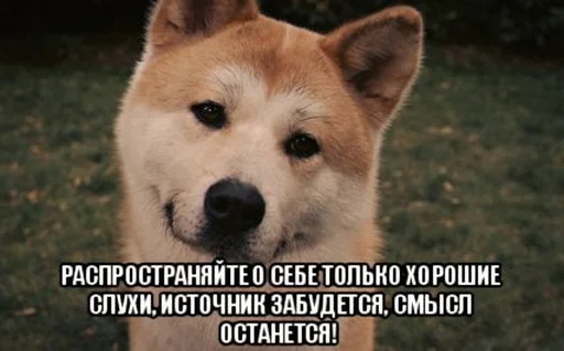 Эмодзи Распространите!