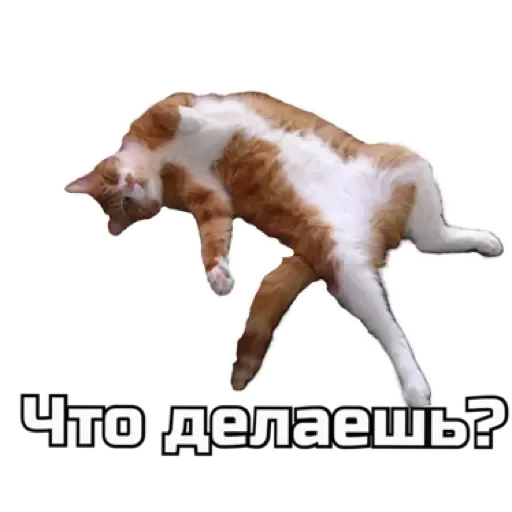 Эмодзи СпутниКот by ЧТП