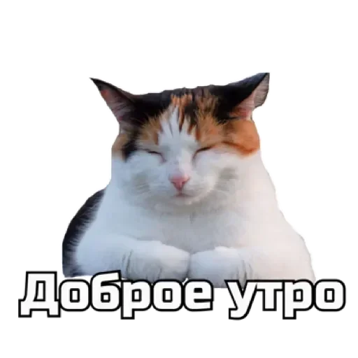 Эмодзи СпутниКот by ЧТП